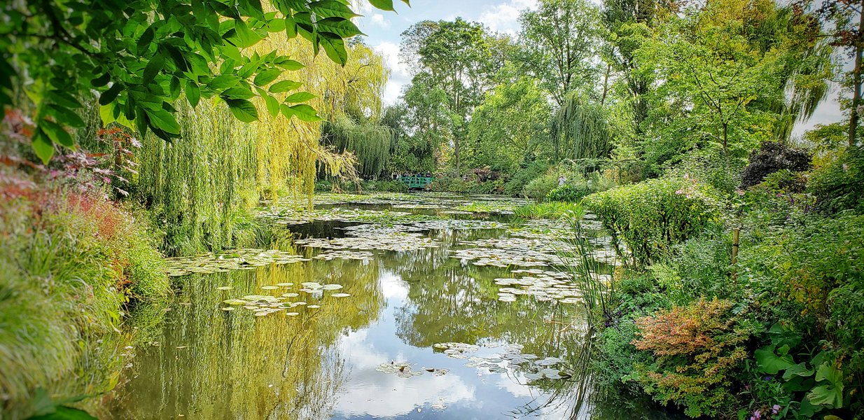 The Water Garden